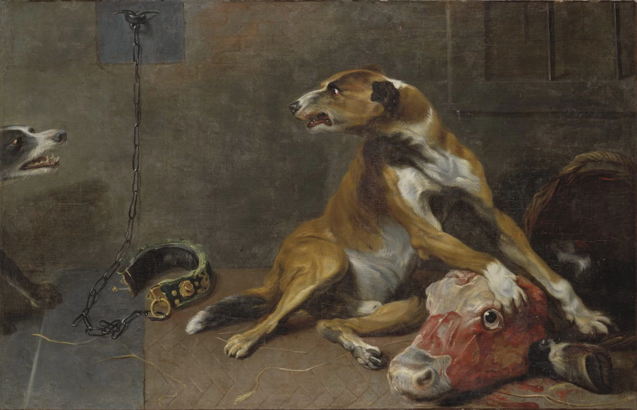 Cani che litigano per la testa di un bue scuoiato - Nationalmuseum